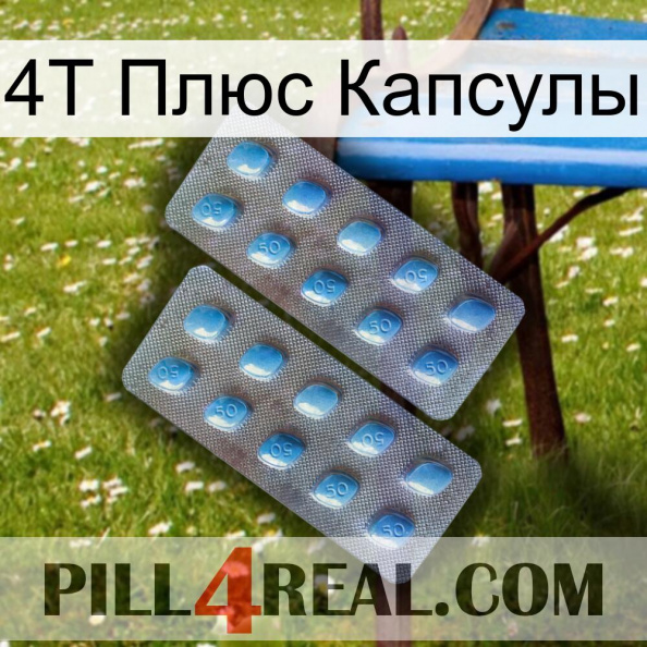 4Т Плюс Капсулы viagra4.jpg